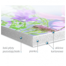Płyty Foam X DrukarniaFortuny.pl